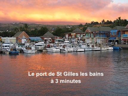 Prana Lodge Saint Gilles Les Bains 800 M De La Plage Bagian luar foto